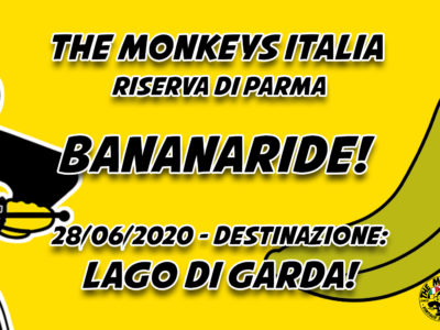 The Monkeys Banana Rides!
